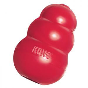 kong chew toy