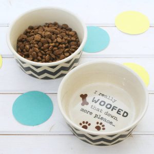 dog water and food bowl