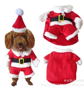 dog santa outfit