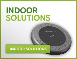 dog containment fencing